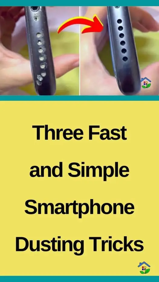 https://i.ibb.co/VWRbZX8W/01f56b2f8f46.jpg