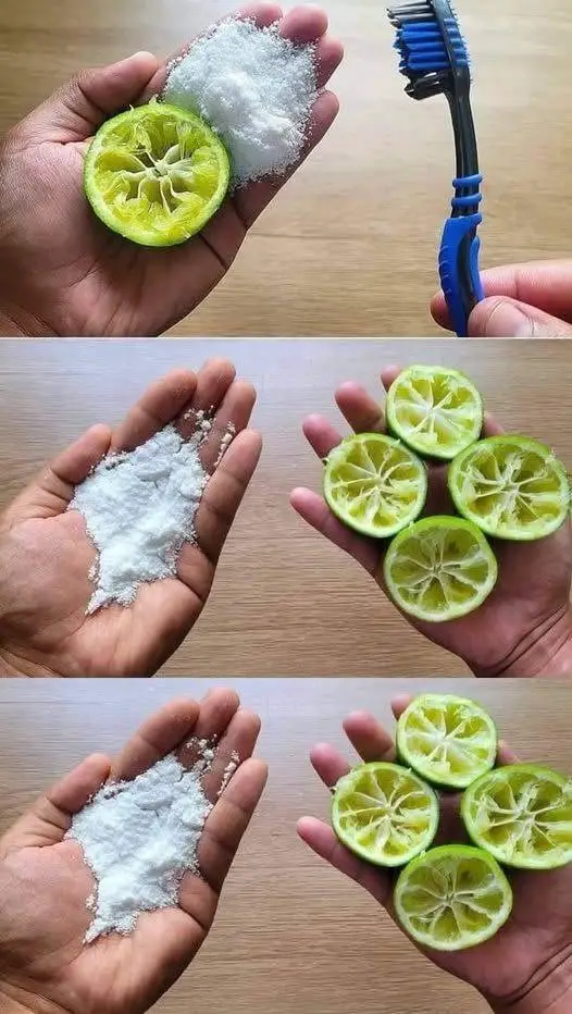 https://i.ibb.co/FbFzMf5q/1a9a7d4e778e.jpg