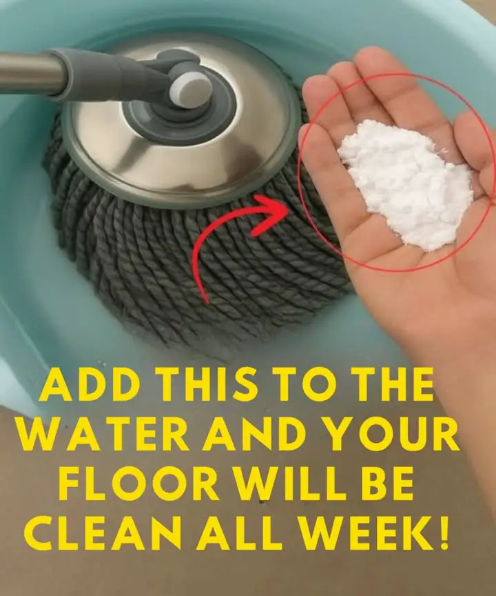 https://i.ibb.co/jk09H730/225a0a970145.jpg
