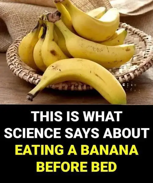 https://i.ibb.co/XgCfvw5/676e801987f5.jpg