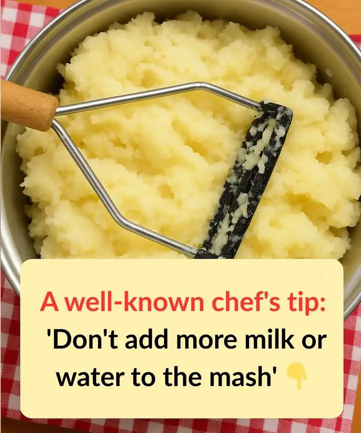 https://i.ibb.co/7NzwVmvn/72206fd5dd1e.jpg