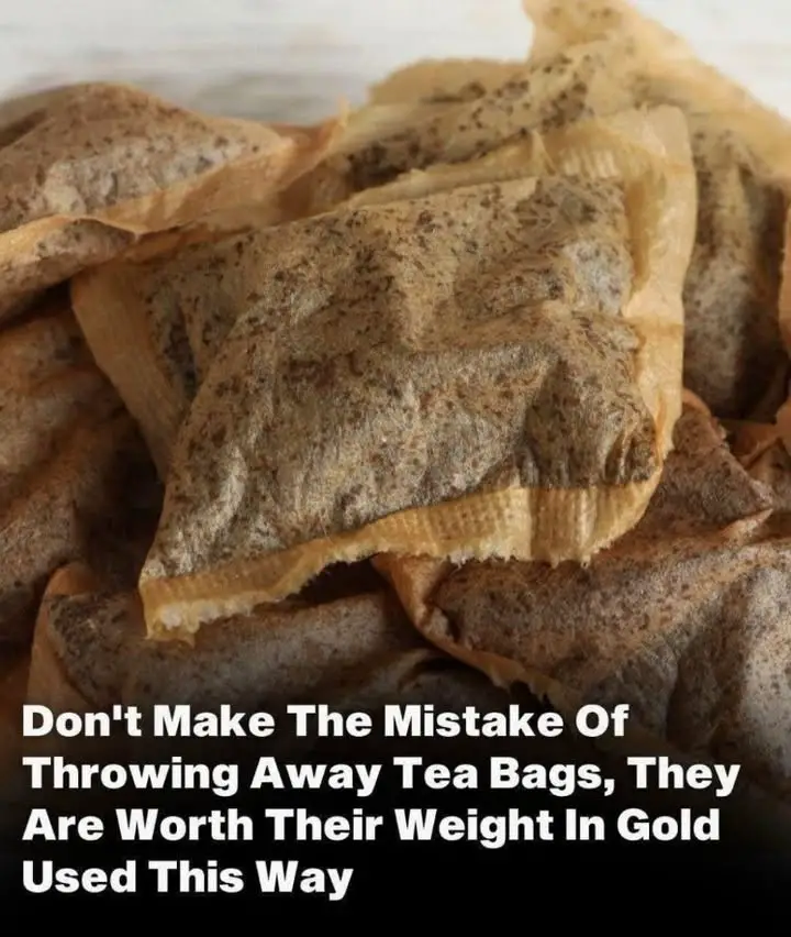 https://i.ibb.co/XxsfZgDW/7cb23c2cf0ed.jpg