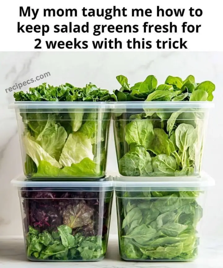 https://i.ibb.co/pBQk06vp/a932e78893d3.jpg