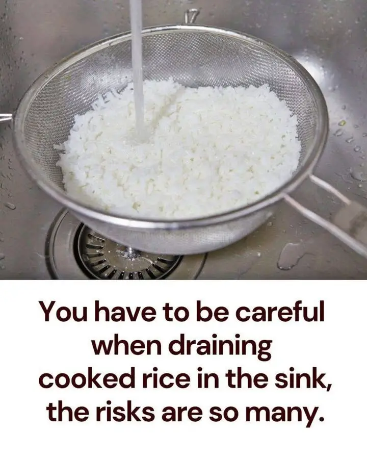 https://i.ibb.co/Wv9btPkn/c788f1f11996.jpg
