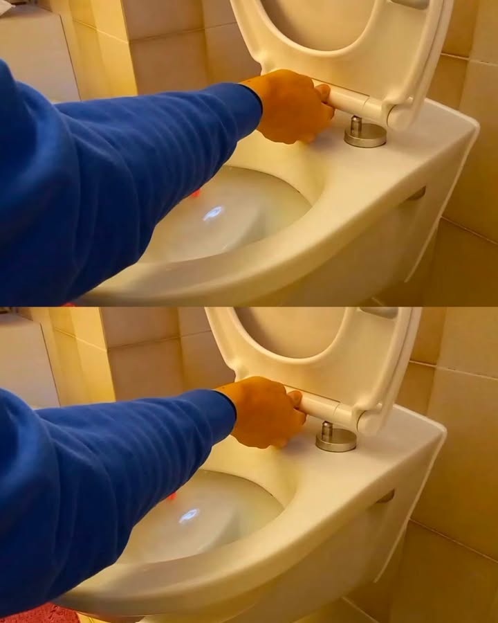 https://i.ibb.co/x8G3D0L2/e193772449bd.jpg