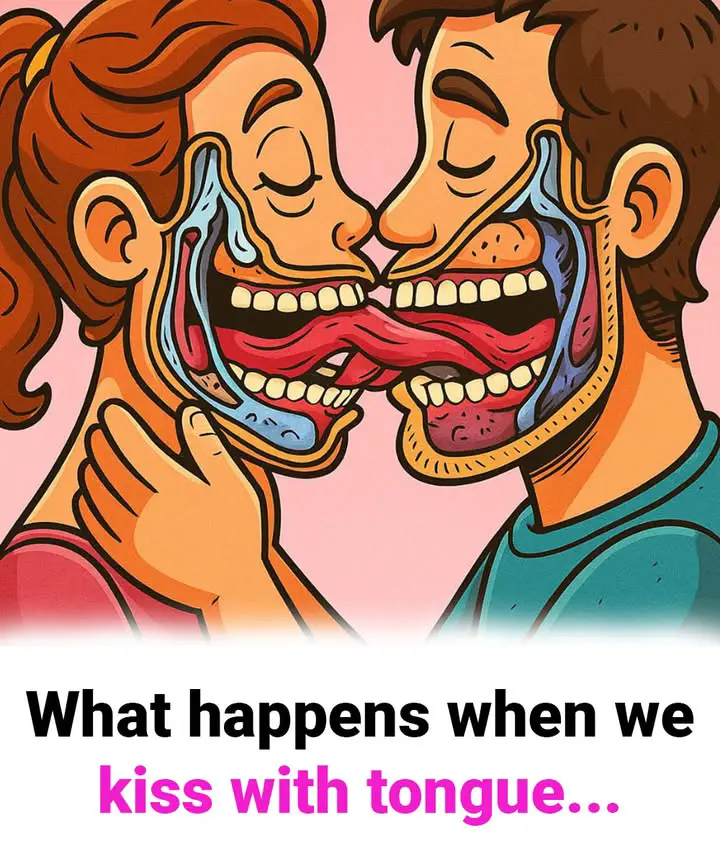 https://i.ibb.co/7JHgfMsC/ece87018e48a.jpg