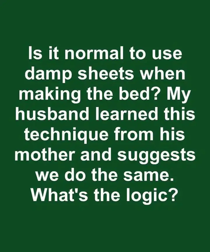 https://i.ibb.co/PzgDjtXP/f1ffc117a0bc.jpg